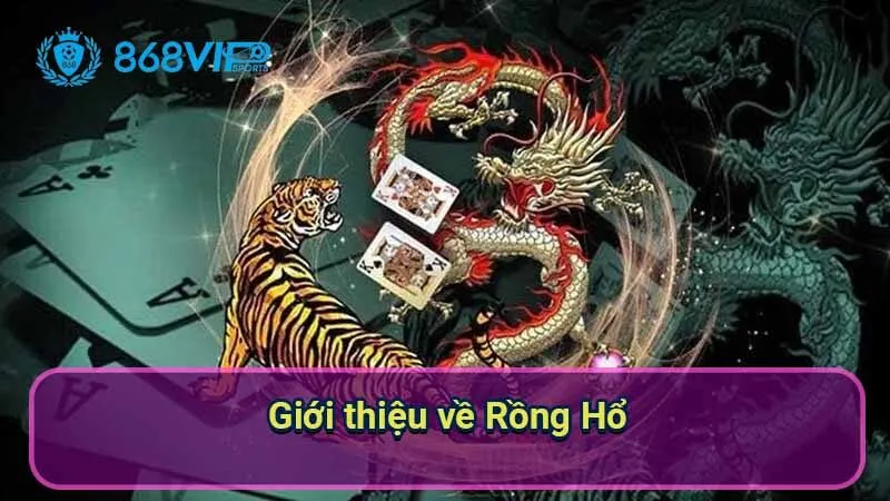 Rồng Hổ - Trải Nghiệm Cá Cược Đầy Kịch Tính Từ Châu Á 2 gioi-thieu-ve-rong-ho